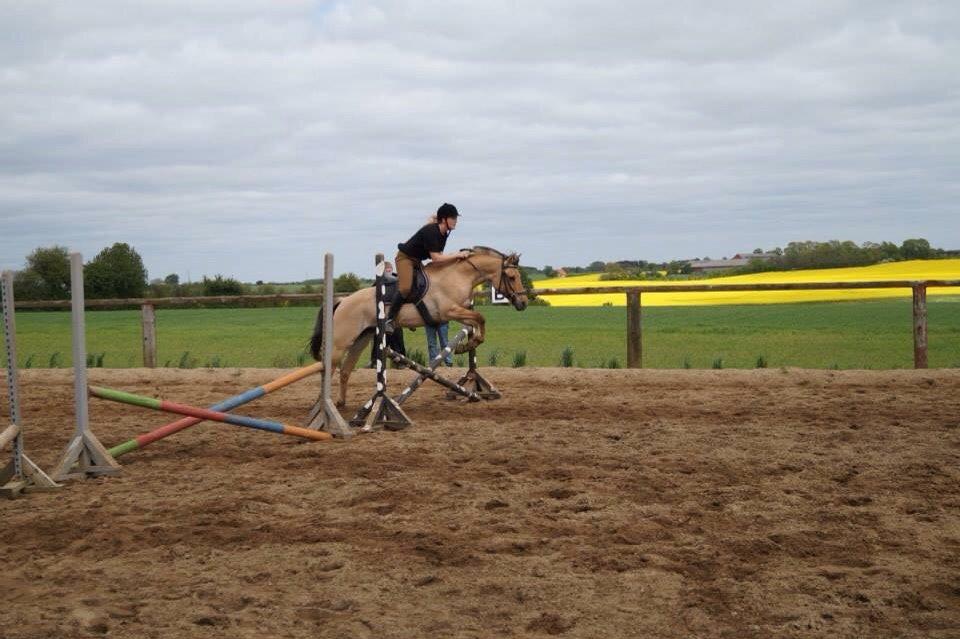 Springdag på Paulinesminde billede 20