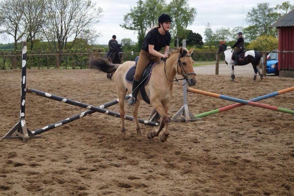 Springdag på Paulinesminde billede 19