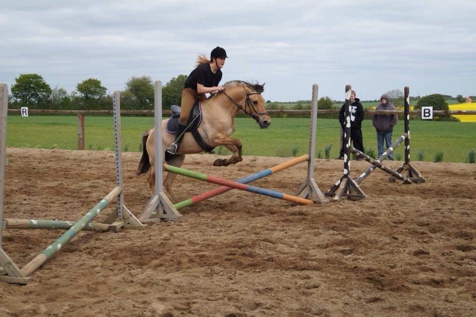 Springdag på Paulinesminde billede 21