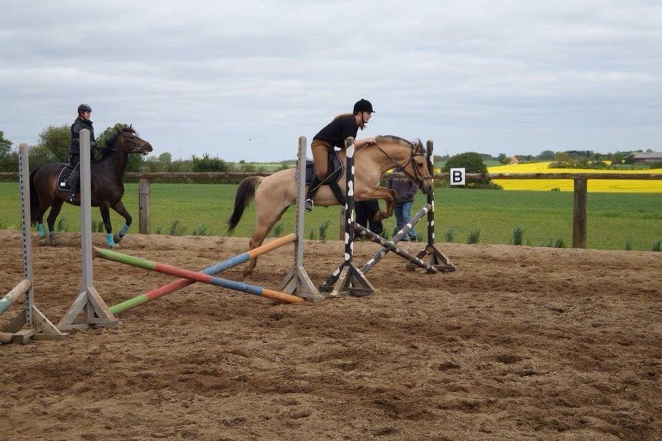 Springdag på Paulinesminde billede 22