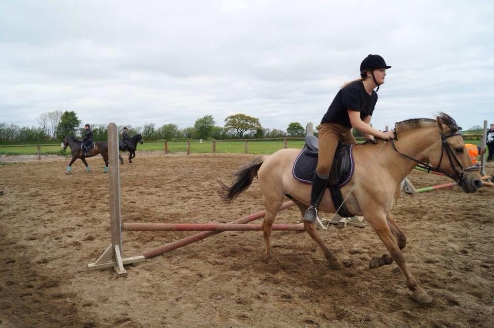 Springdag på Paulinesminde billede 24