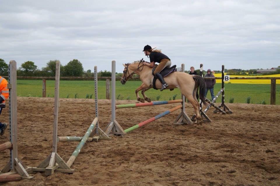 Springdag på Paulinesminde billede 23