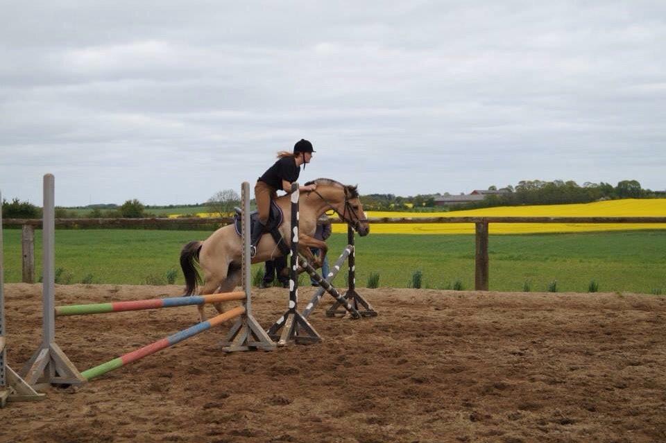 Springdag på Paulinesminde billede 26