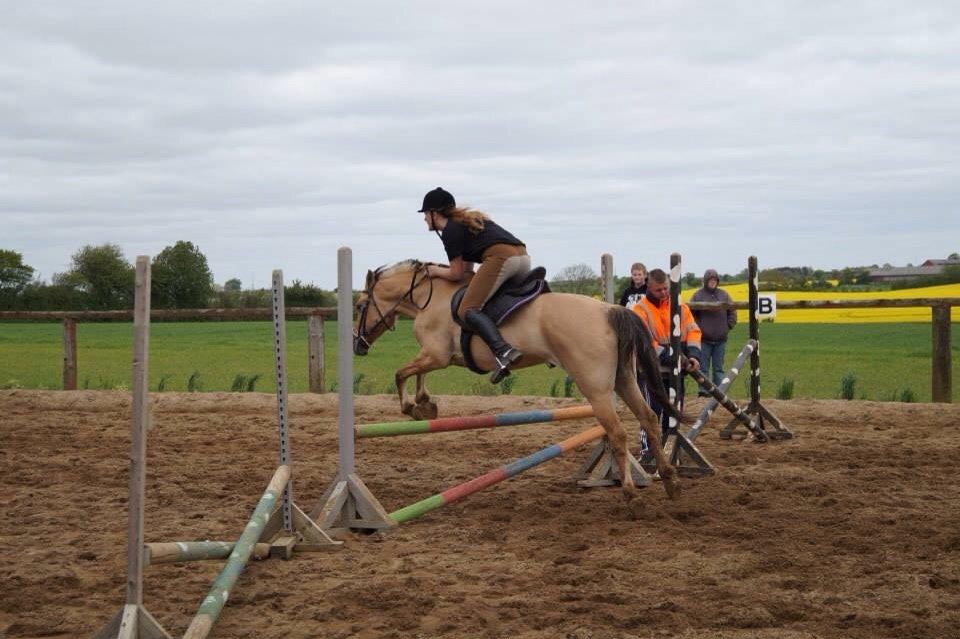 Springdag på Paulinesminde billede 25