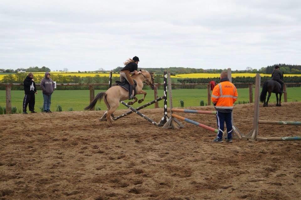 Springdag på Paulinesminde billede 27