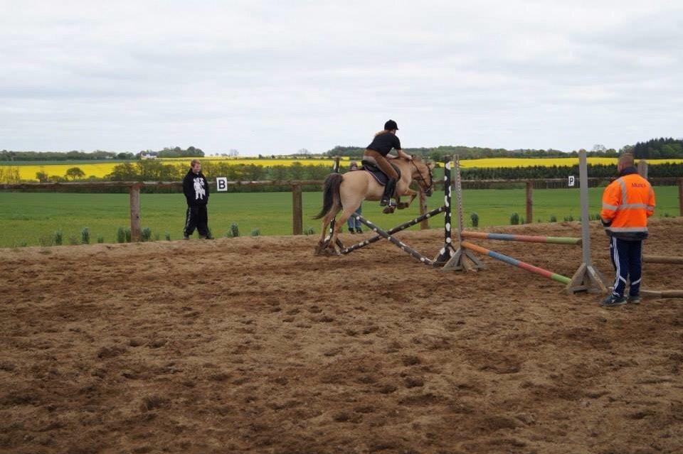 Springdag på Paulinesminde billede 28