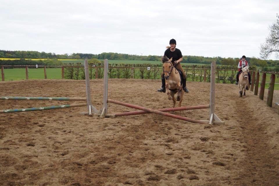 Springdag på Paulinesminde billede 29