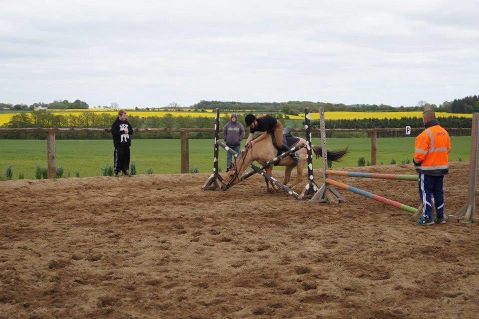Springdag på Paulinesminde billede 30