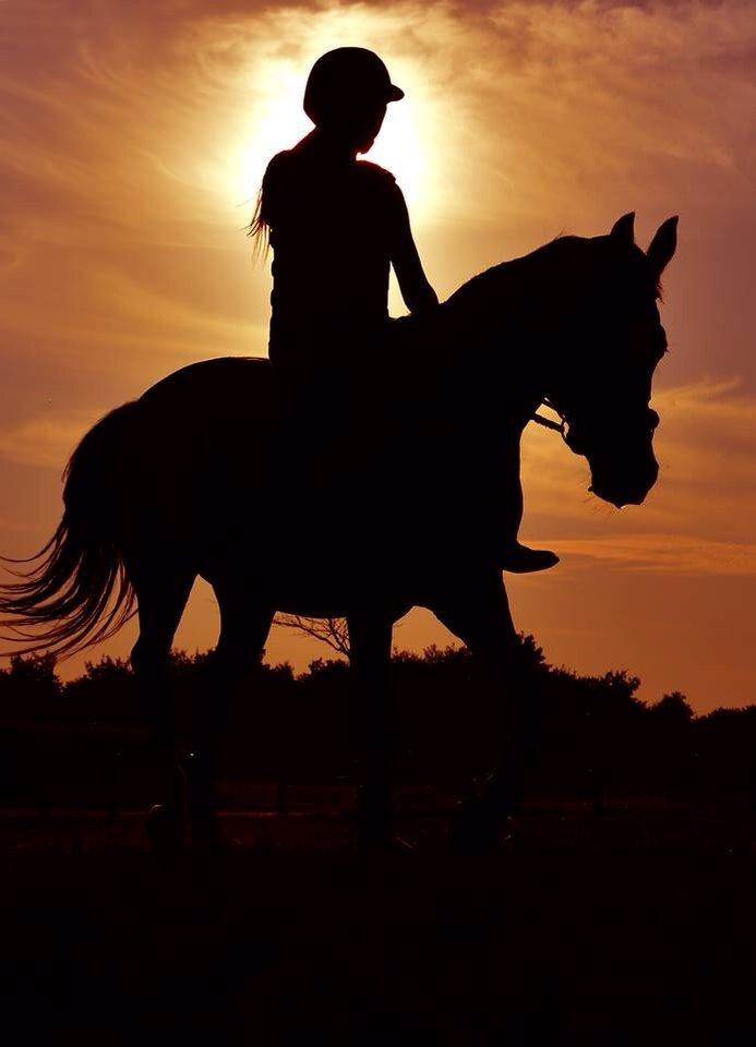 Modlys-billeder. billede 1