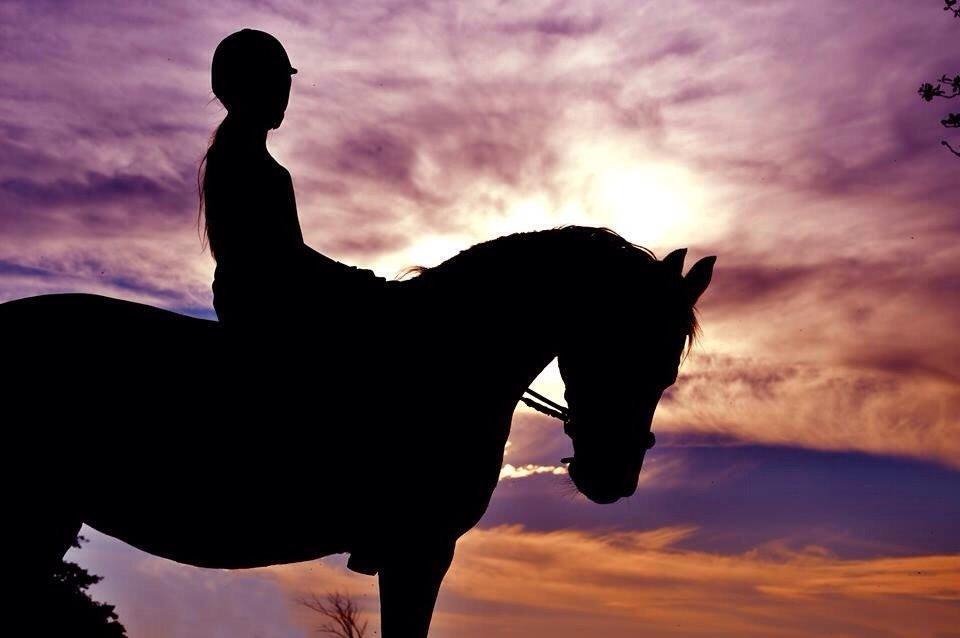 Modlys-billeder. billede 2