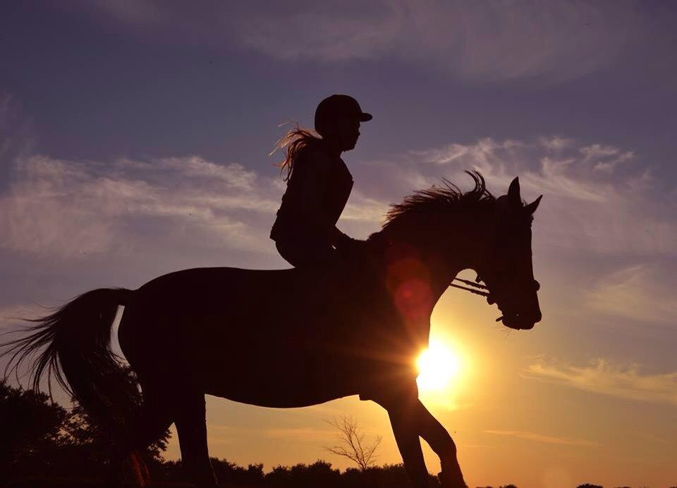 Modlys-billeder. billede 3