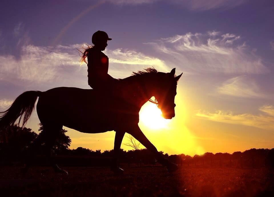 Modlys-billeder. billede 4