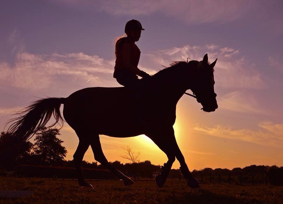 Modlys-billeder. billede 6