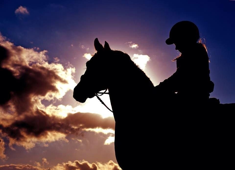 Modlys-billeder. billede 7