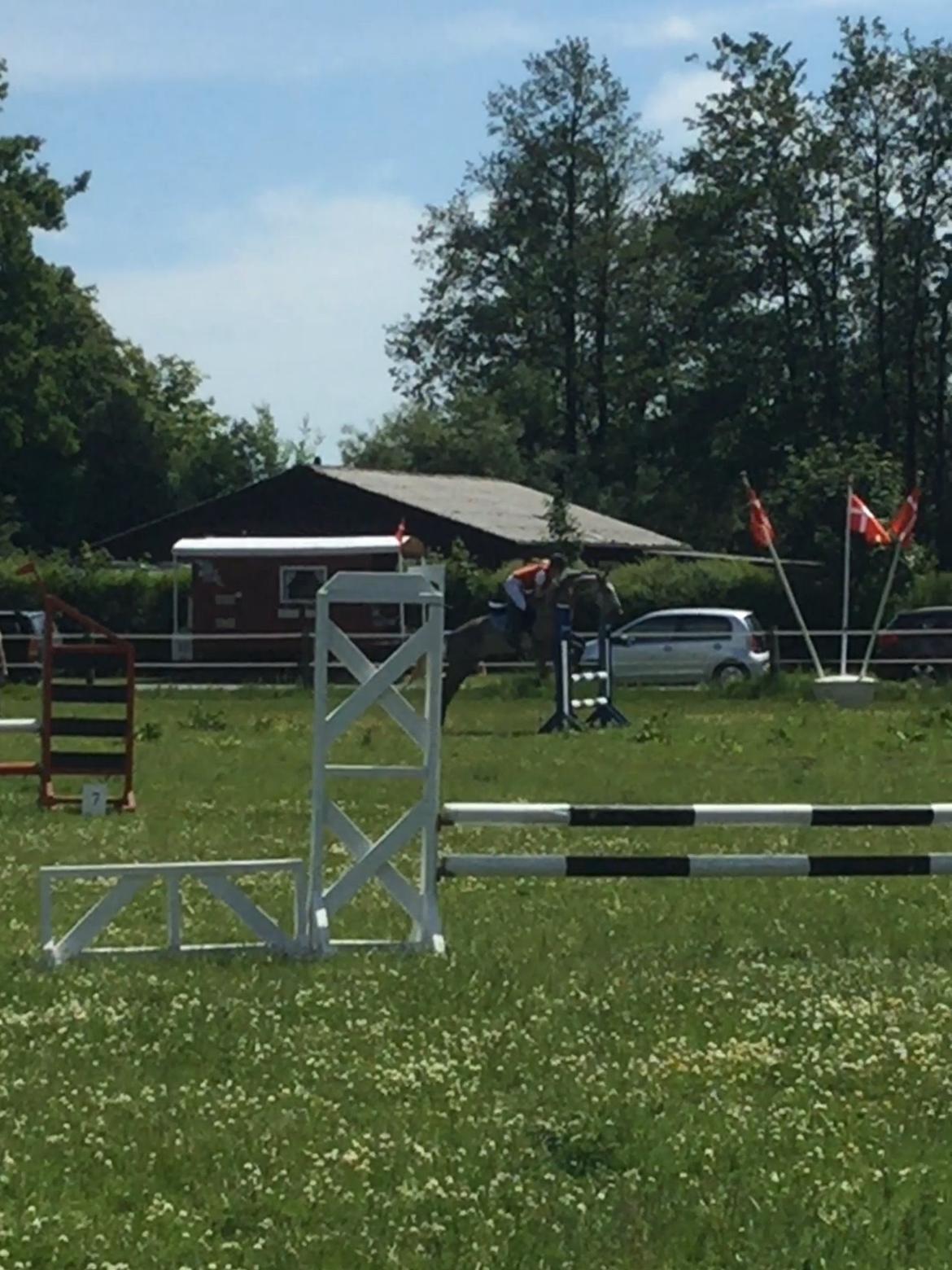 Anita & Alfred (Maccoy) Bylderup-Bov Springstævne billede 1