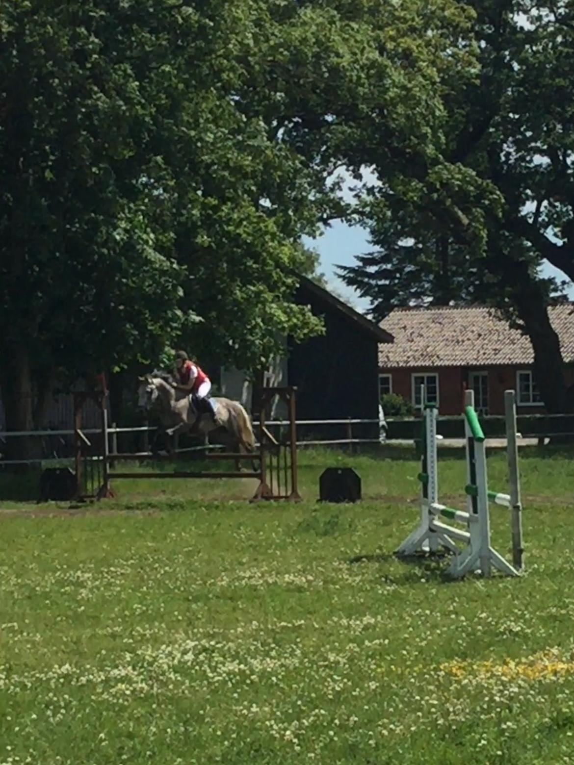 Anita & Alfred (Maccoy) Bylderup-Bov Springstævne billede 2