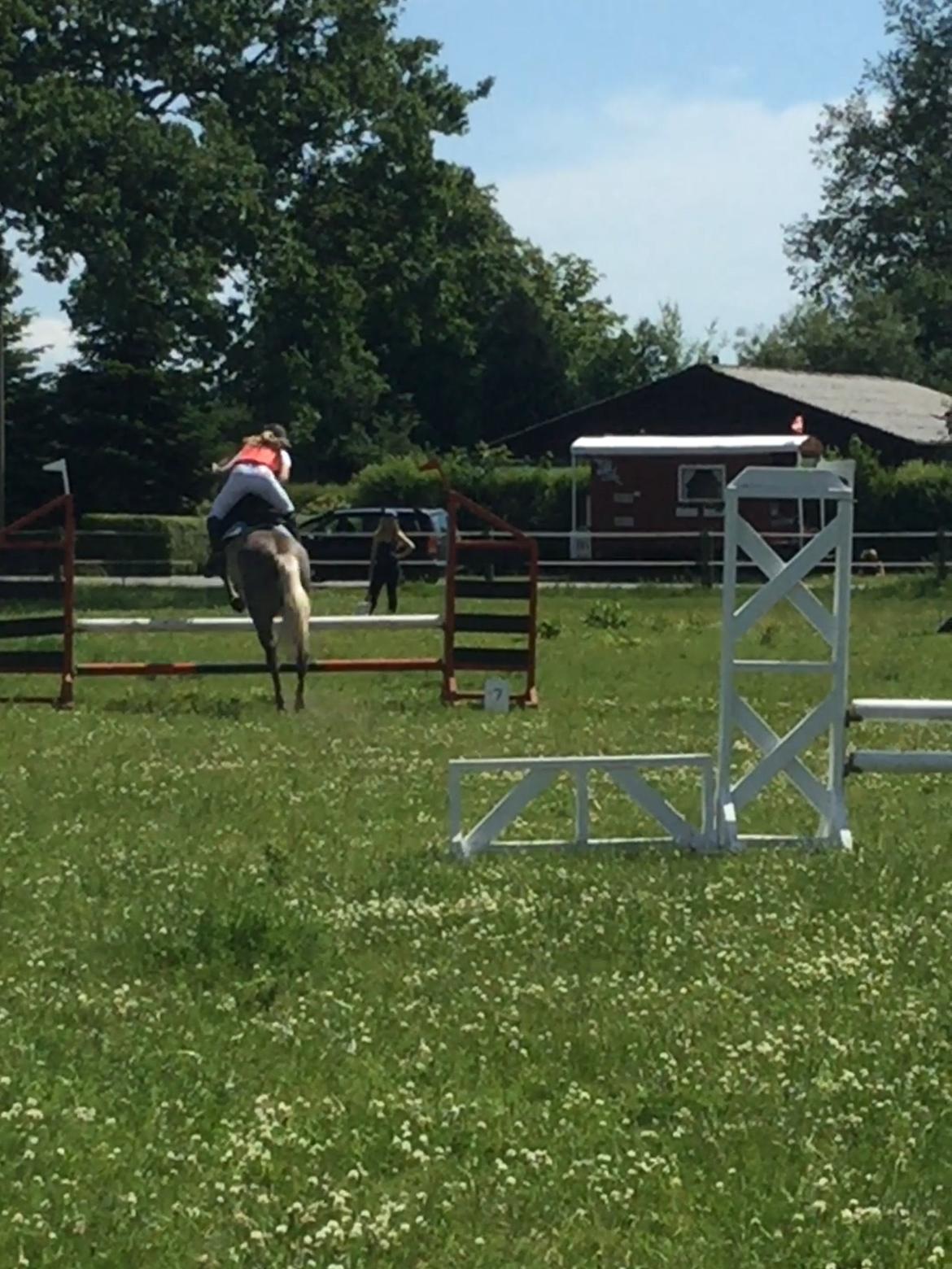 Anita & Alfred (Maccoy) Bylderup-Bov Springstævne billede 4