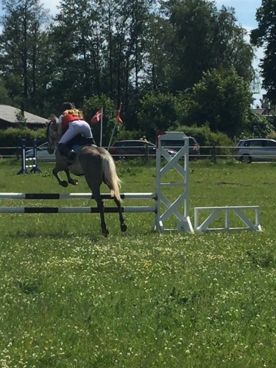Anita & Alfred (Maccoy) Bylderup-Bov Springstævne billede 3