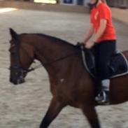 Lillegaards prinsesse Fiona