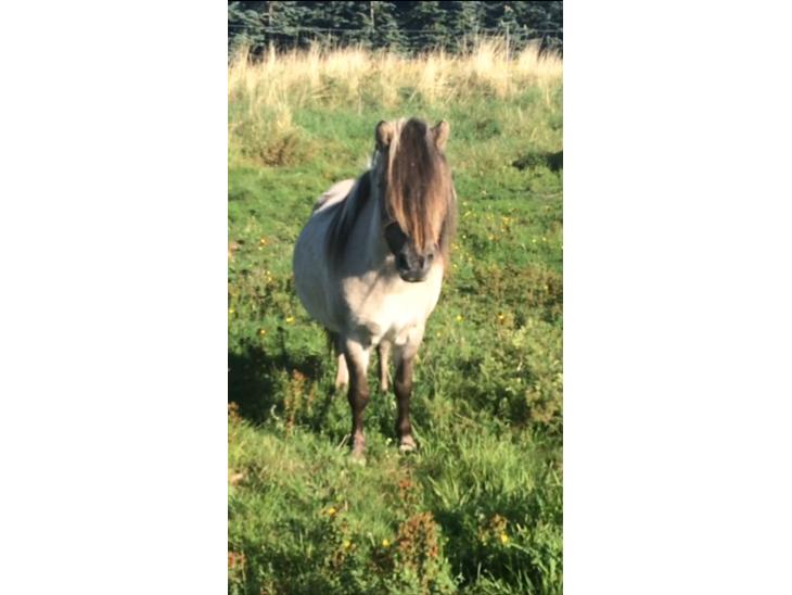 {{currentPhoto.altText}} billede {{currentPhoto.number}}