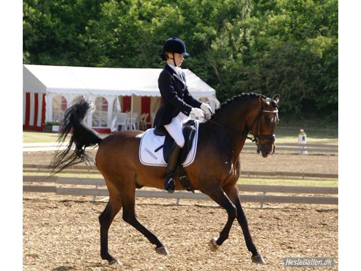 {{currentPhoto.altText}} billede {{currentPhoto.number}}