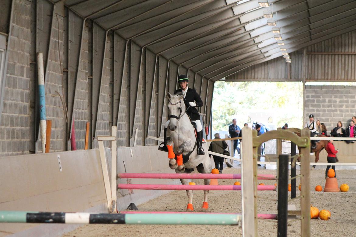 Stævne på Hadsten Ridecenter - LD billede 1