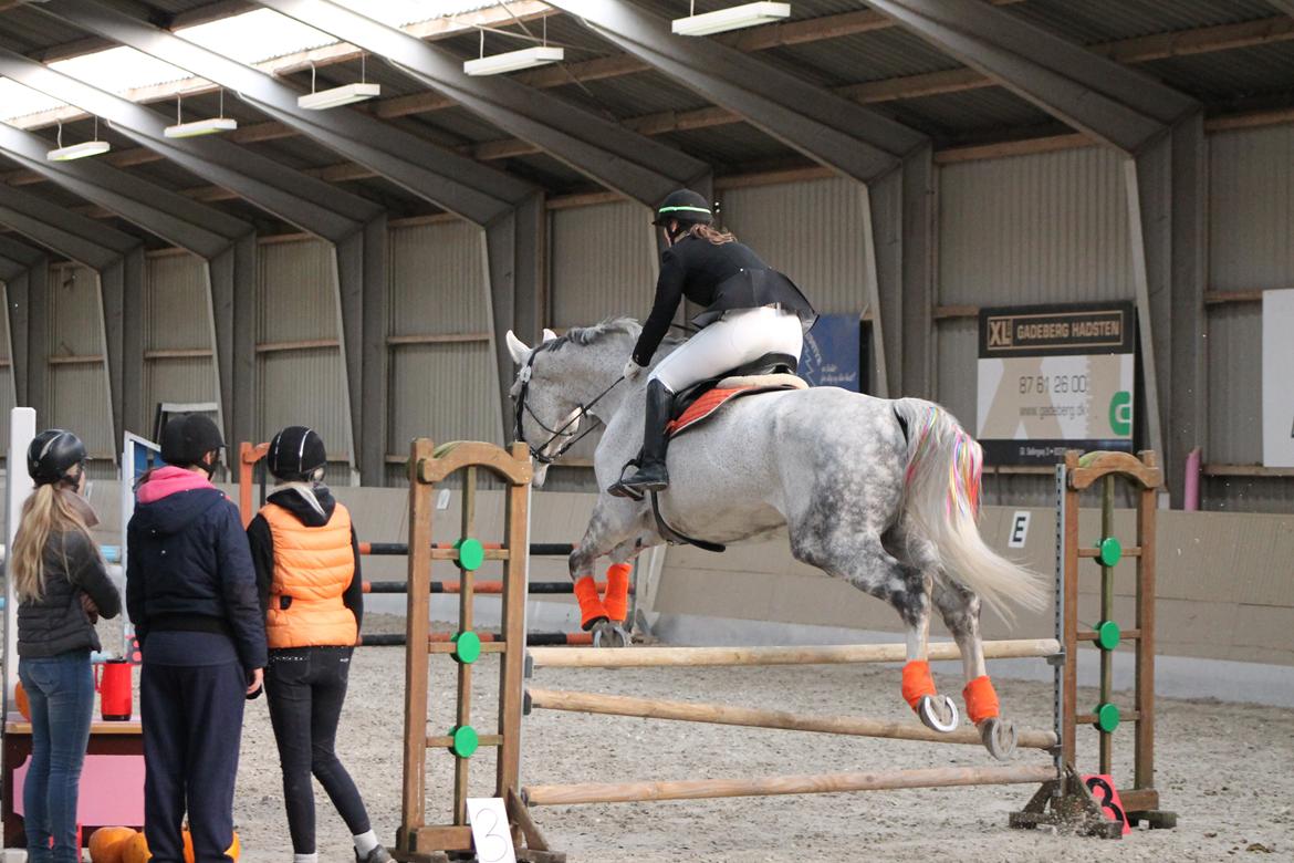 Stævne på Hadsten Ridecenter - LD billede 3