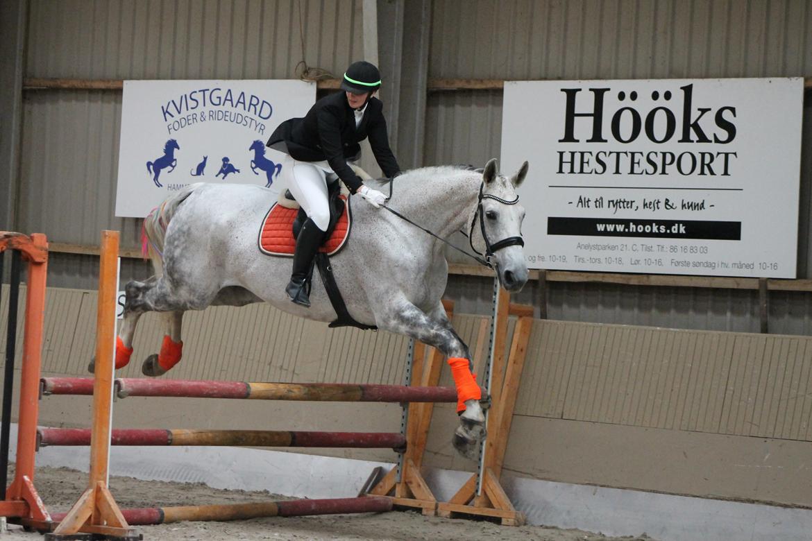 Stævne på Hadsten Ridecenter - LD billede 4