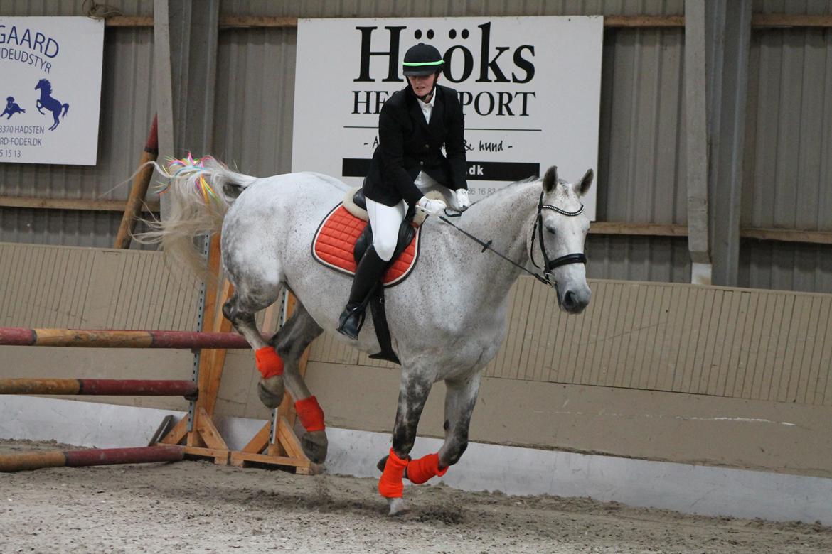 Stævne på Hadsten Ridecenter - LD billede 5