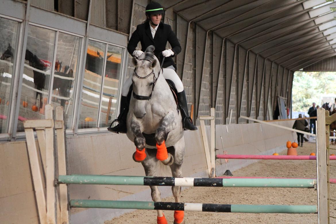Stævne på Hadsten Ridecenter - LD billede 2