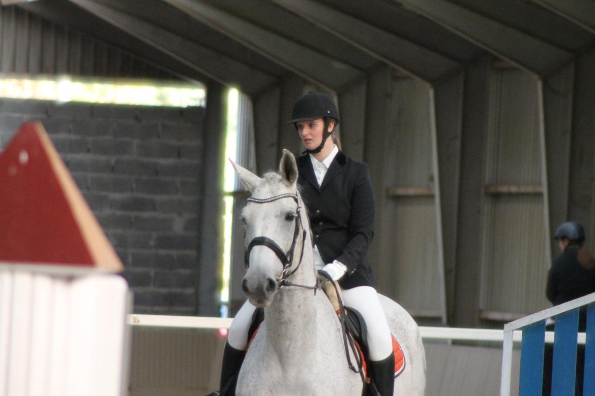 Stævne på Hadsten Ridecenter billede 9