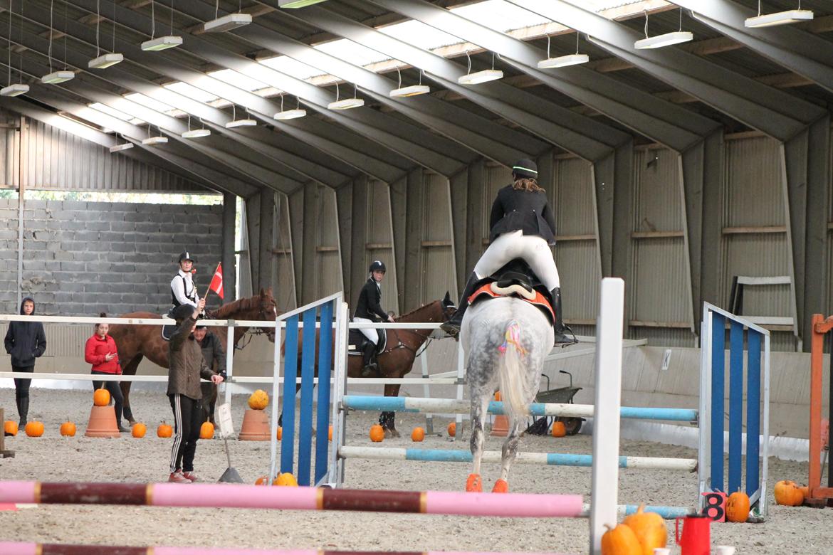 Stævne på Hadsten Ridecenter - LD billede 7