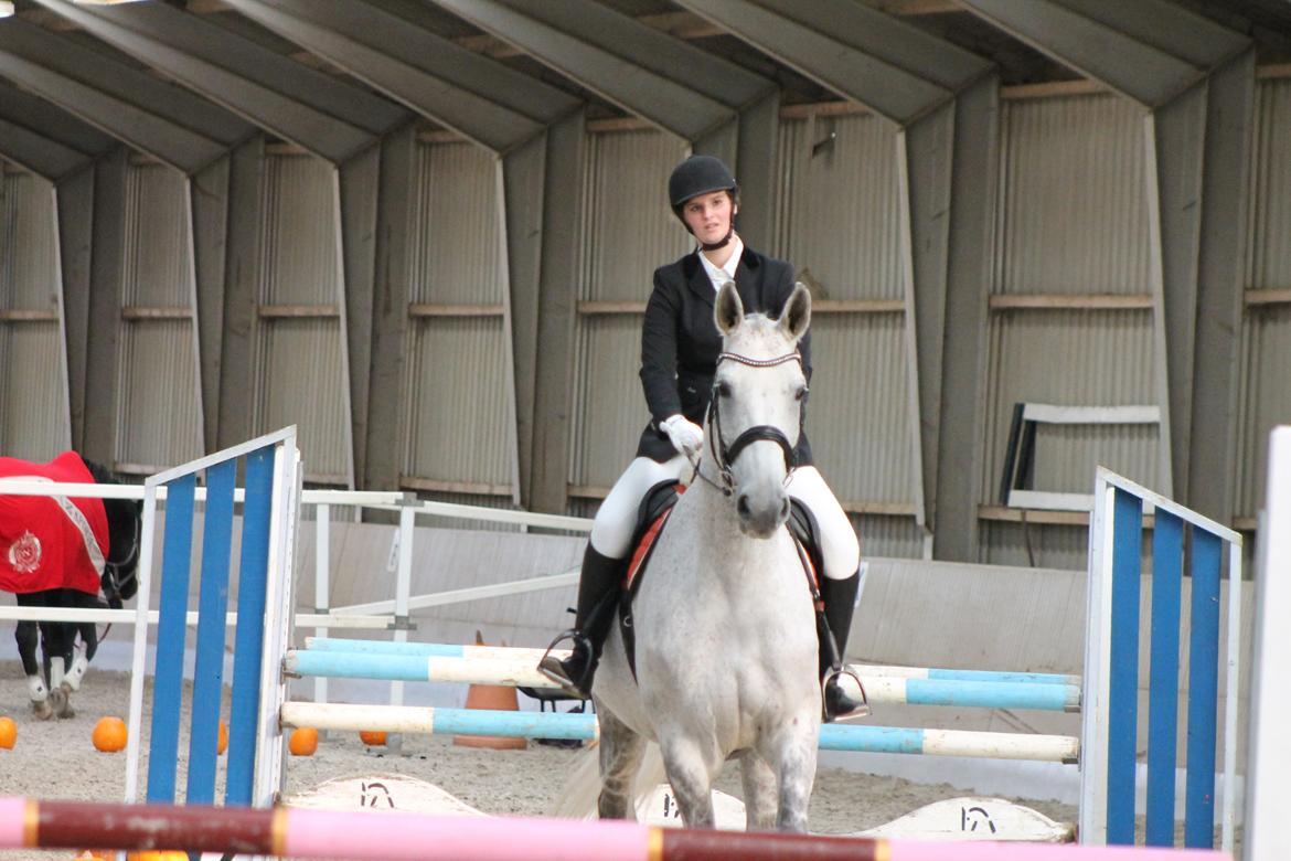 Stævne på Hadsten Ridecenter billede 10