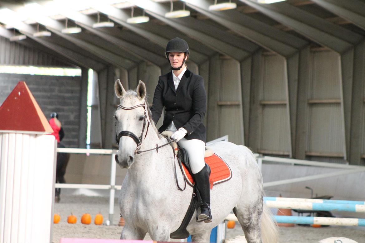 Stævne på Hadsten Ridecenter billede 13