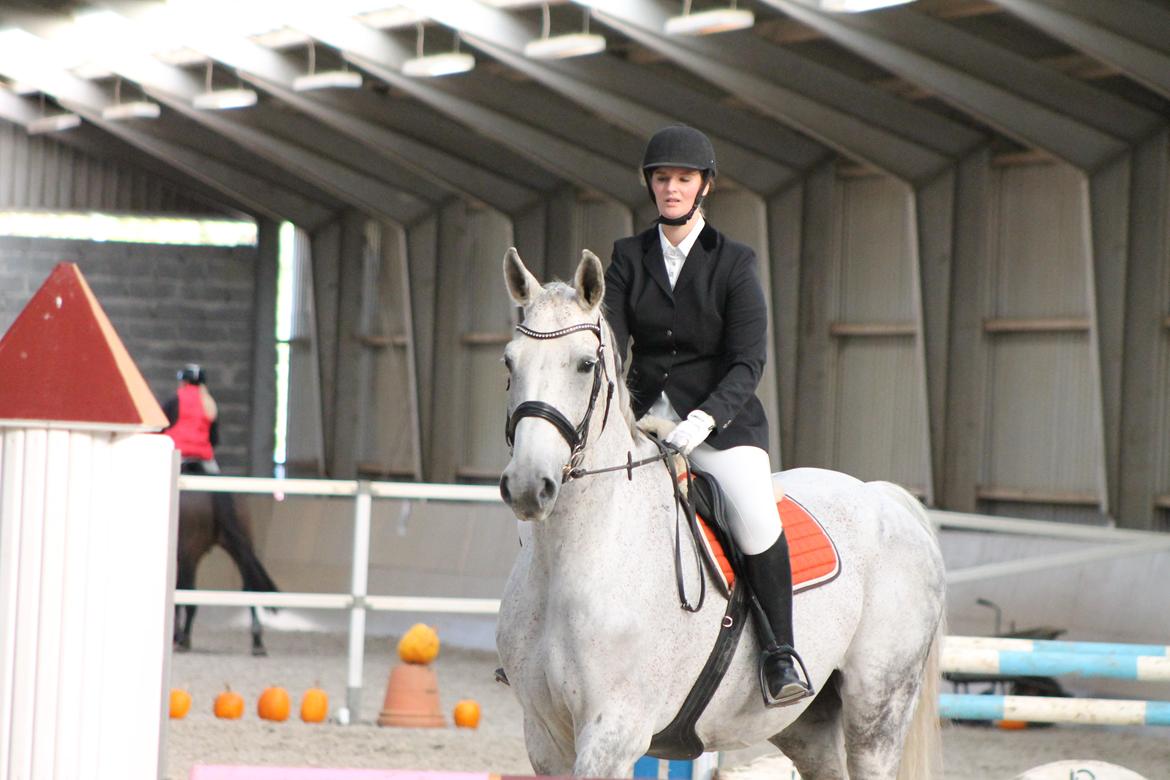 Stævne på Hadsten Ridecenter billede 11