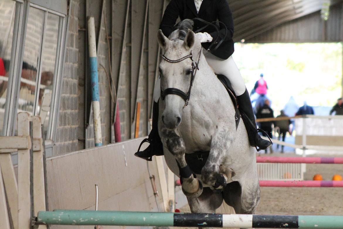 Stævne på Hadsten Ridecenter billede 15