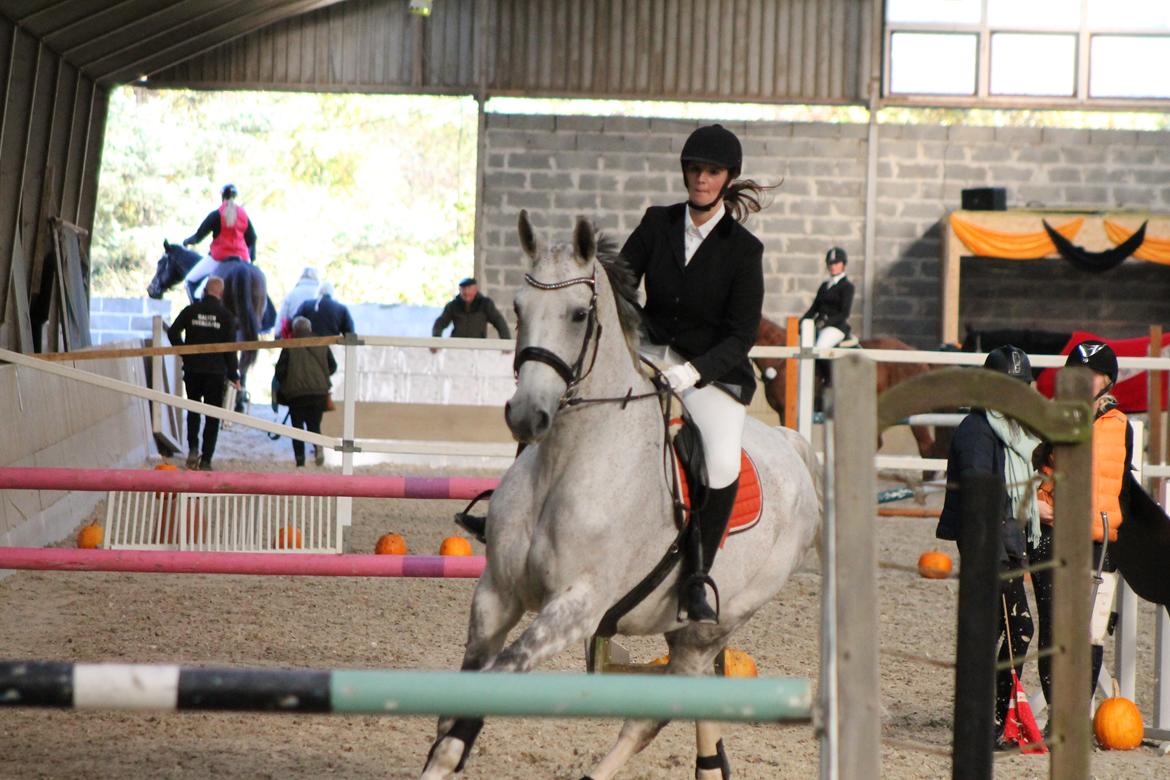 Stævne på Hadsten Ridecenter billede 14