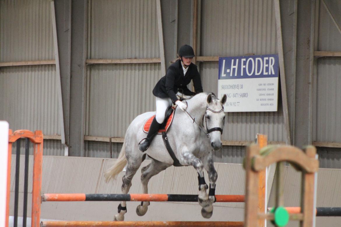 Stævne på Hadsten Ridecenter billede 17