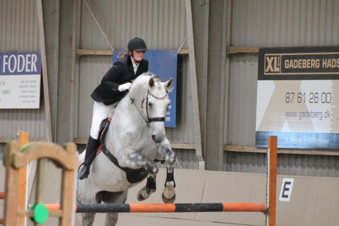 Stævne på Hadsten Ridecenter billede 18