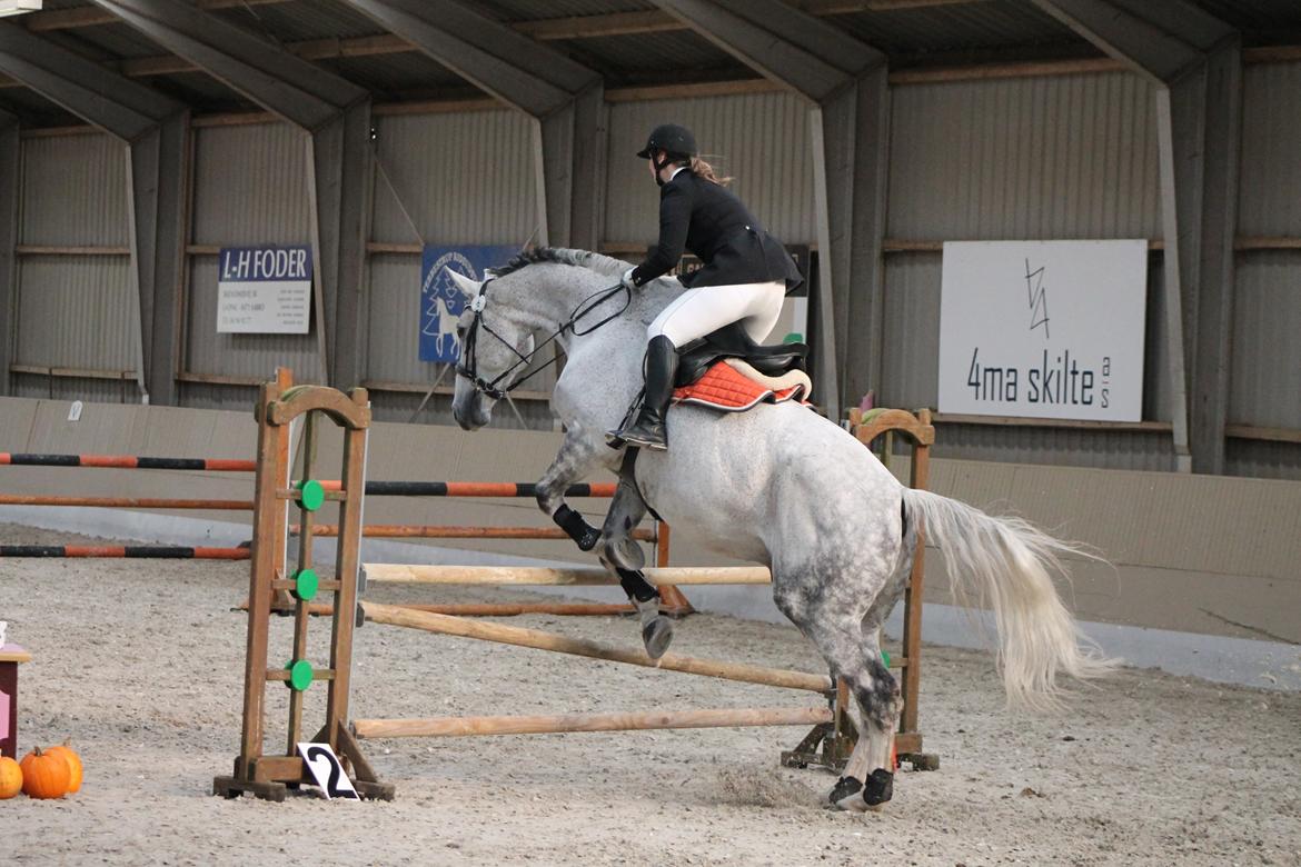 Stævne på Hadsten Ridecenter billede 16