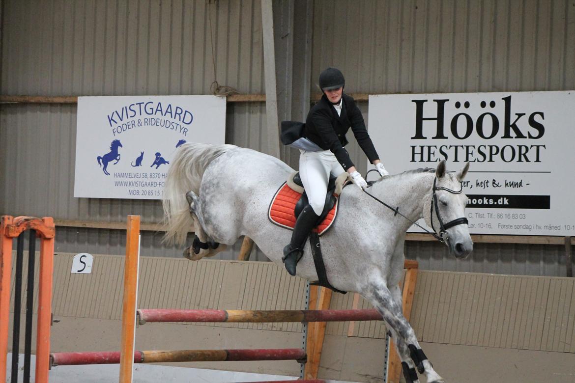 Stævne på Hadsten Ridecenter billede 20