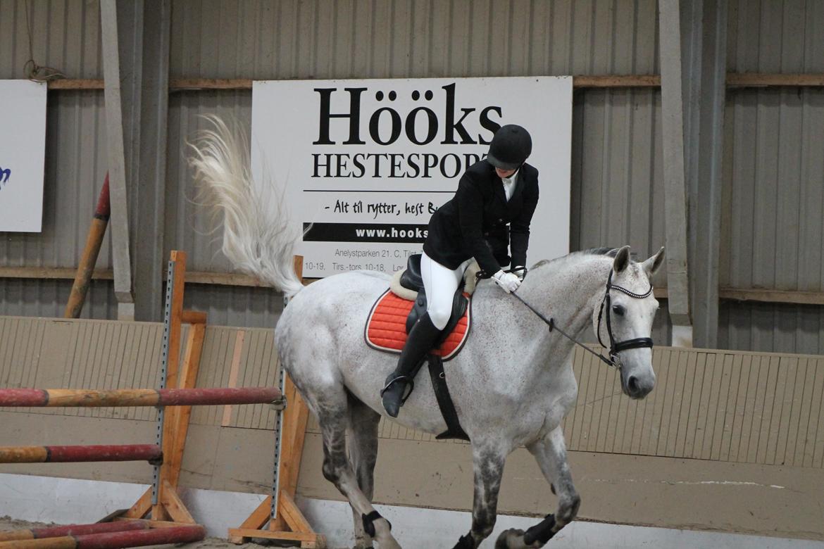 Stævne på Hadsten Ridecenter billede 21