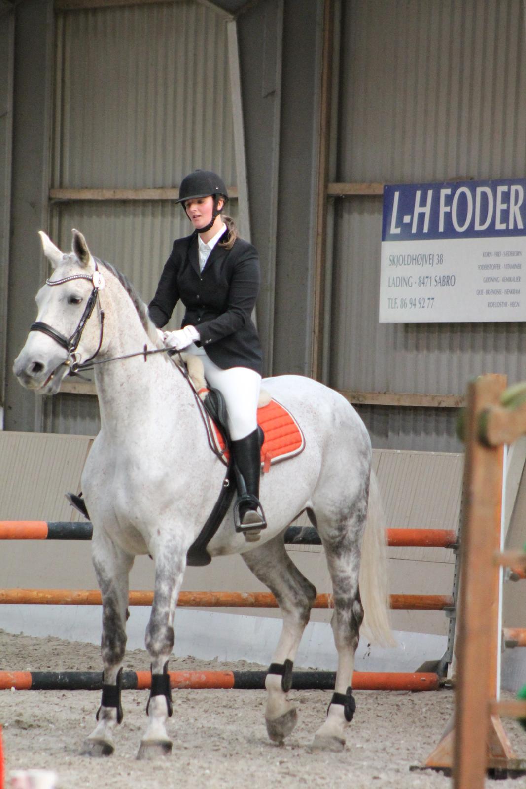 Stævne på Hadsten Ridecenter billede 23