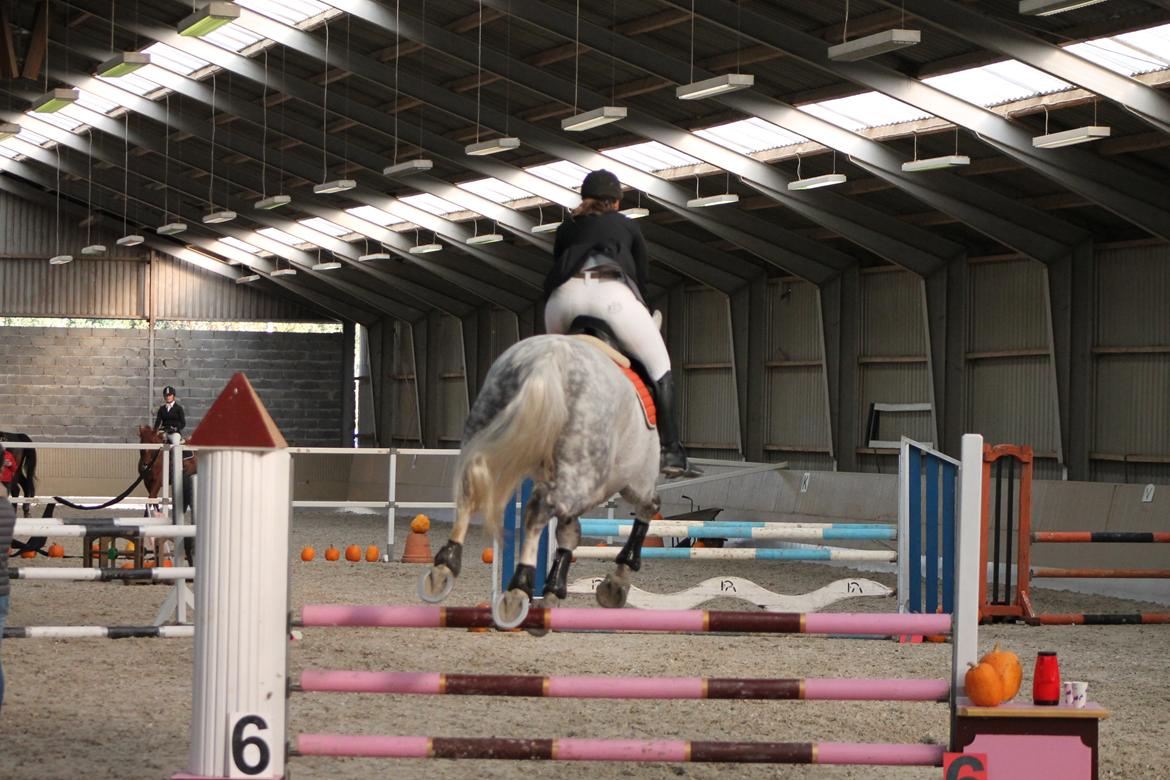 Stævne på Hadsten Ridecenter billede 22