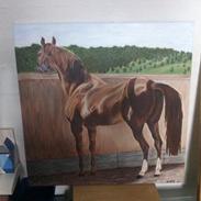 Heste malerier 