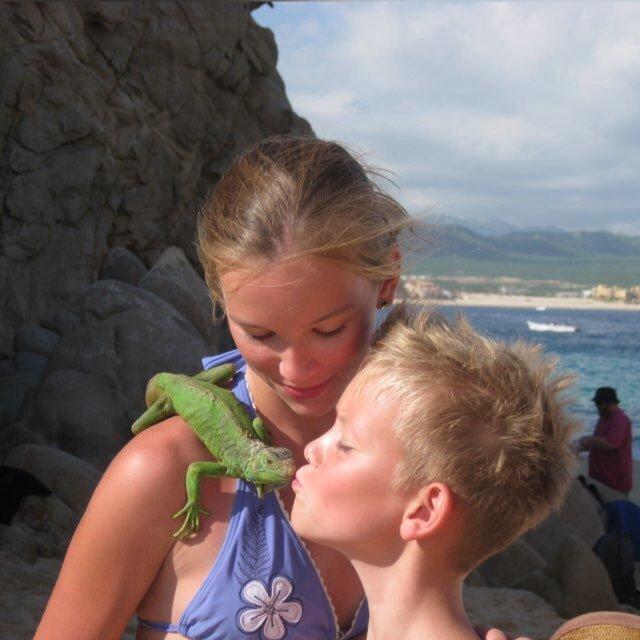 Forskellige billeder billede 24