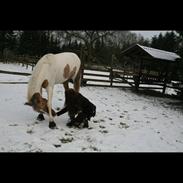 Delight & mig Photoshoot 