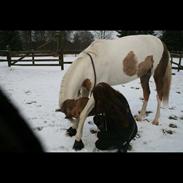 Delight & mig Photoshoot 