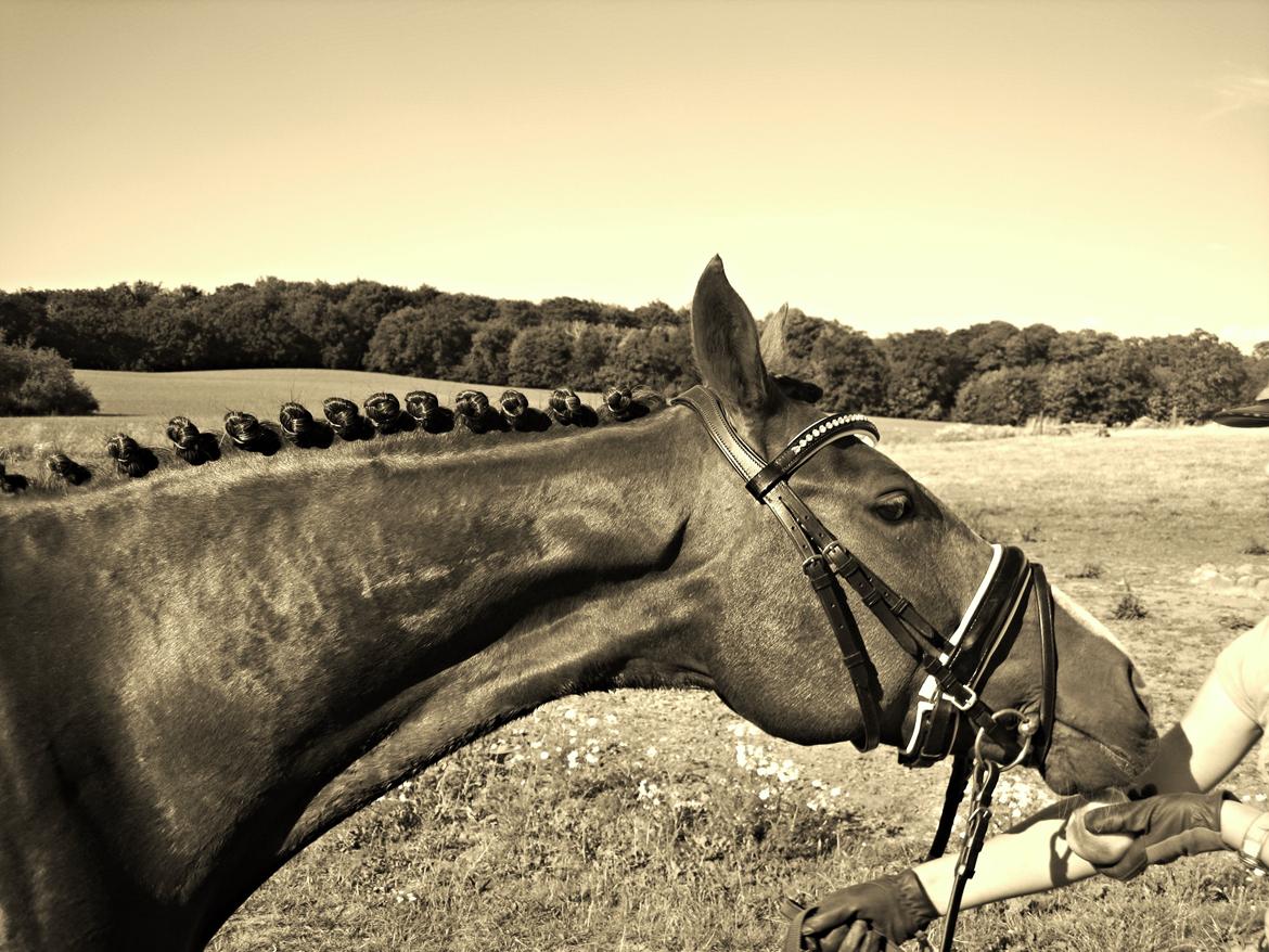 Forskellige billeder - Hun er så Fin! <3 billede 19