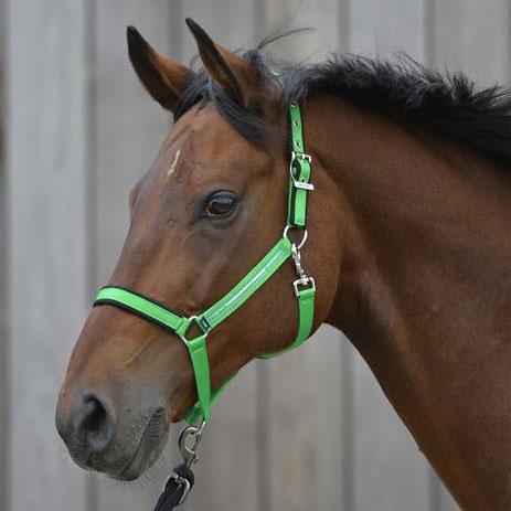 RBH - Light Grime, Bright Green billede 16